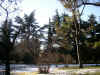 Immagine 016.jpg (81911 byte)