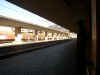 Immagine 059.jpg (67283 byte)