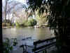 Immagine 064.jpg (73336 byte)