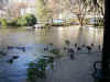 Immagine 065.jpg (72881 byte)